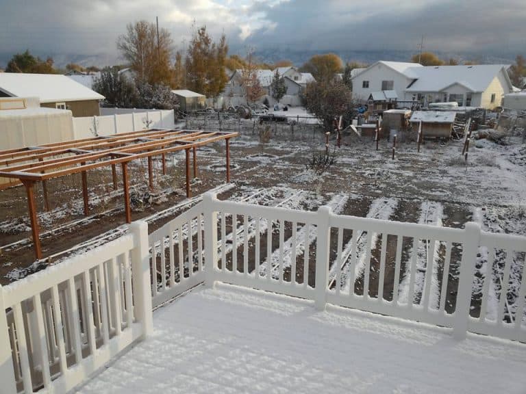 first skiff of snow on the garden