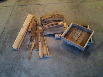 Homemade Seed Starting Trays