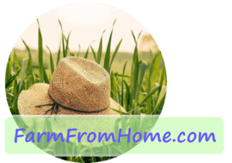 Urban Backyard Farming