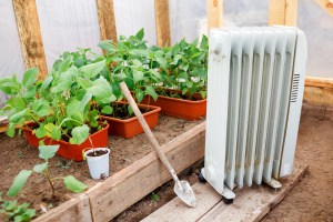 Does Your Greenhouse Need a Heater? How to Know
