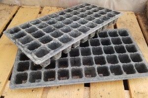 Can You Reuse Seed Trays?
