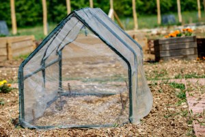 The 6 Pros and Cons of Plastic Greenhouses