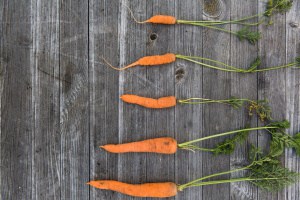 6 Reasons Your Vegetables Stay Small & What To Do About It – Urban 