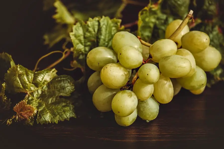 How to Grow Grapes Indoors: A Step-by-Step Guide