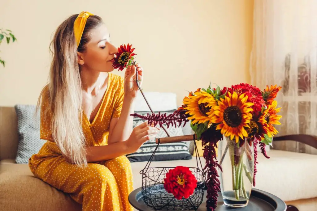 How Long Do Sunflowers Last? Urban Backyard Farming